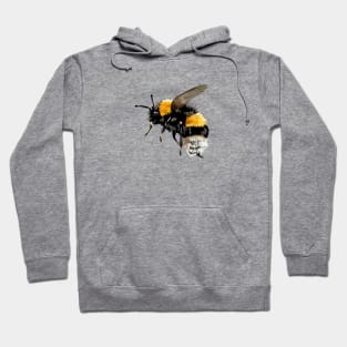 Bumblebee Hoodie